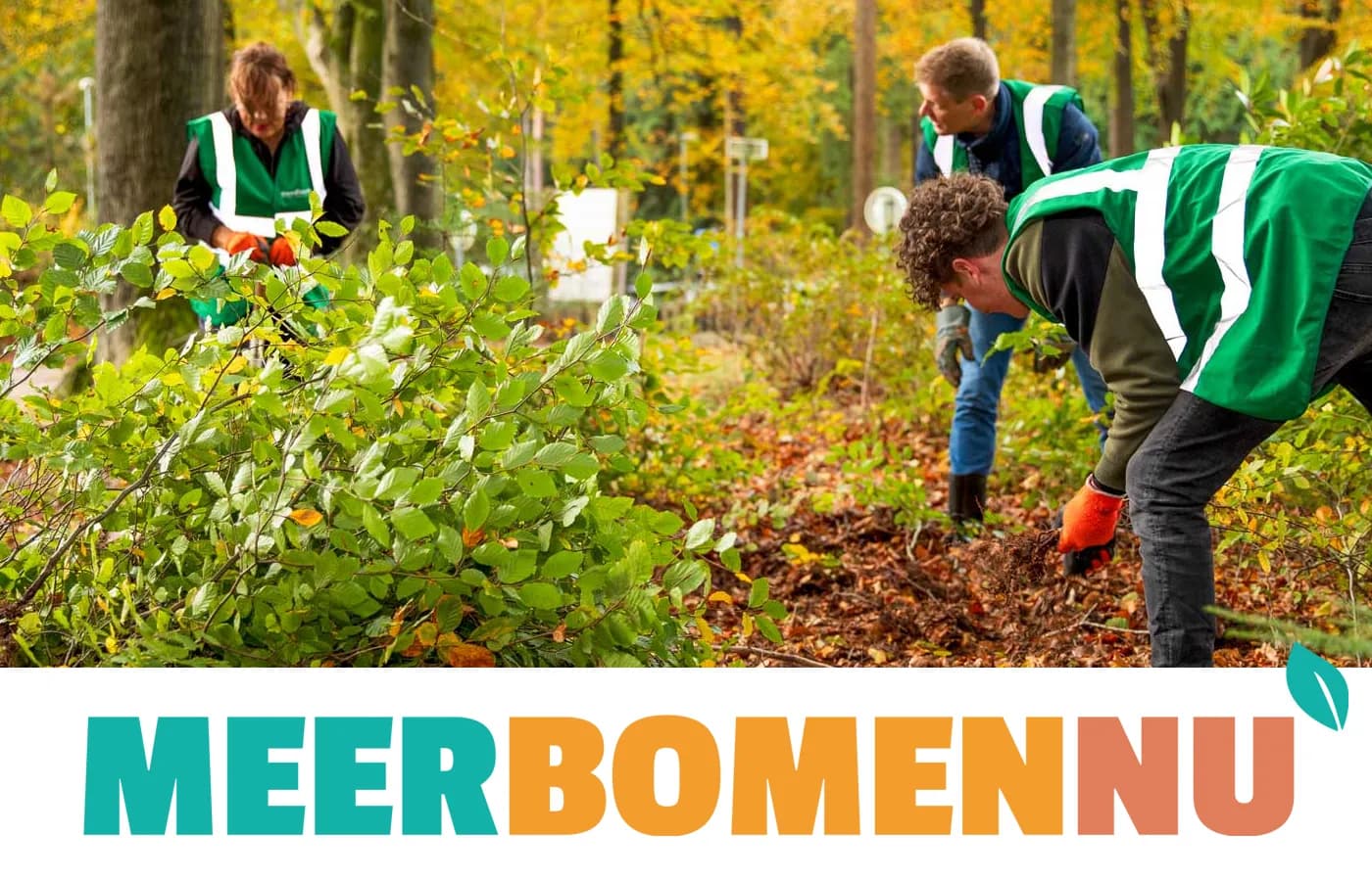 Meer Bomen NU